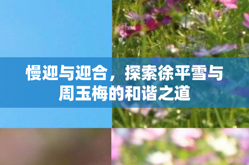 慢迎与迎合,探索徐平雪与周玉梅的和谐之道 慢迎与迎合,探索徐平雪与周玉梅的和谐之道