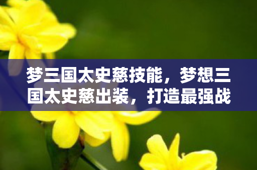 梦三国太史慈技能,梦想三国太史慈出装,打造最强战斗力的关键 梦三国太史慈技能,梦想三国太史慈出装,打造最强战斗力的关键