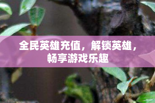 全民英雄充值,解锁英雄,畅享游戏乐趣 全民英雄充值,解锁英雄,畅享游戏乐趣