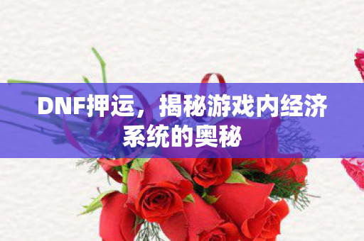 DNF押运，揭秘游戏内经济系统的奥秘