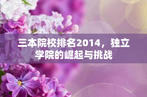 三本院校排名2014,独立学院的崛起与挑战 三本院校排名2014,独立学院的崛起与挑战