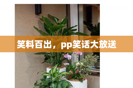 笑料百出,pp笑话大放送 笑料百出,pp笑话大放送