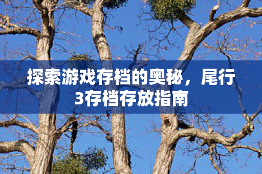 探索游戏存档的奥秘,尾行3存档存放指南 探索游戏存档的奥秘,尾行3存档存放指南