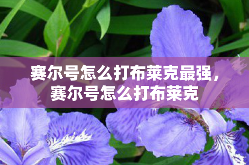 赛尔号怎么打布莱克最强,赛尔号怎么打布莱克 赛尔号怎么打布莱克最强,赛尔号怎么打布莱克
