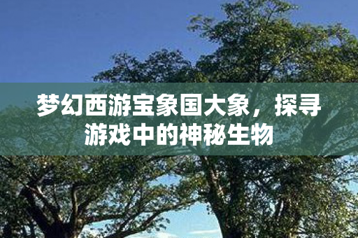 梦幻西游宝象国大象，探寻游戏中的神秘生物