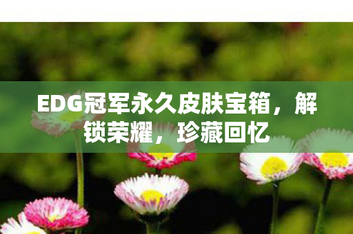 EDG冠军永久皮肤宝箱,解锁荣耀,珍藏回忆 EDG冠军永久皮肤宝箱,解锁荣耀,珍藏回忆