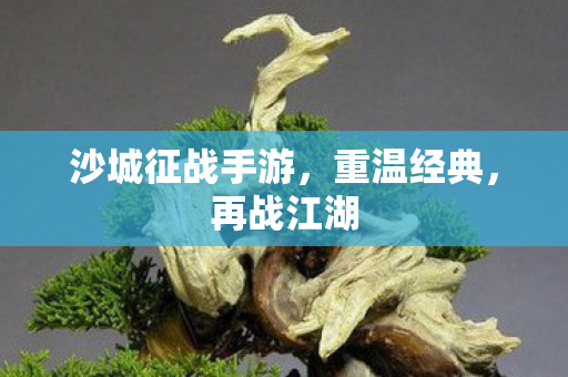 沙城征战手游,重温经典,再战江湖 沙城征战手游,重温经典,再战江湖
