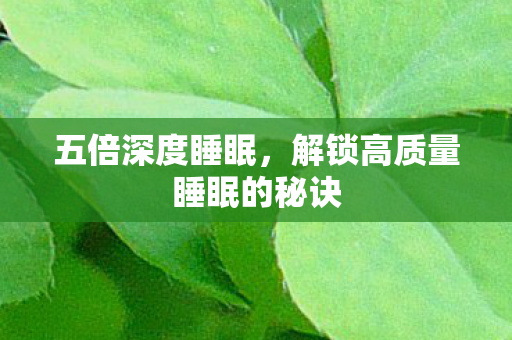 五倍深度睡眠，解锁高质量睡眠的秘诀