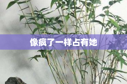 像疯了一样占有她 像疯了一样占有她
