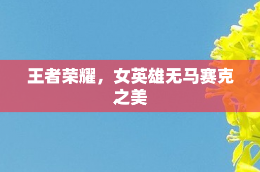 王者荣耀,女英雄无马赛克之美 王者荣耀,女英雄无马赛克之美