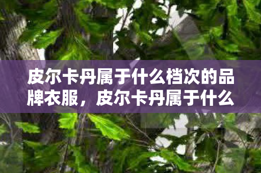 皮尔卡丹属于什么档次的品牌衣服,皮尔卡丹属于什么档次 皮尔卡丹属于什么档次的品牌衣服,皮尔卡丹属于什么档次