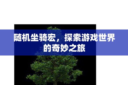 随机坐骑宏,探索游戏世界的奇妙之旅 随机坐骑宏,探索游戏世界的奇妙之旅