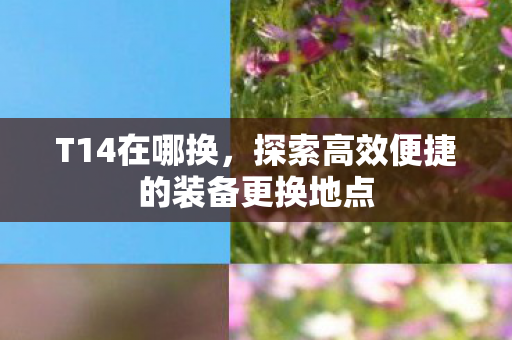 T14在哪换,探索高效便捷的装备更换地点 T14在哪换,探索高效便捷的装备更换地点