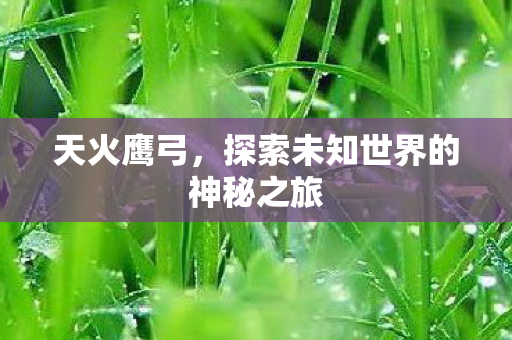 天火鹰弓,探索未知世界的神秘之旅 天火鹰弓,探索未知世界的神秘之旅