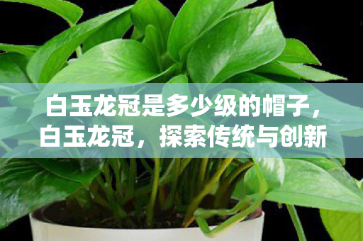 白玉龙冠是多少级的帽子,白玉龙冠,探索传统与创新的融合之美 白玉龙冠是多少级的帽子,白玉龙冠,探索传统与创新的融合之美