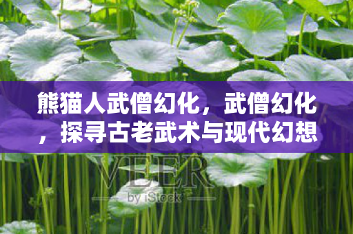 熊猫人武僧幻化,武僧幻化,探寻古老武术与现代幻想的奇妙融合 熊猫人武僧幻化,武僧幻化,探寻古老武术与现代幻想的奇妙融合