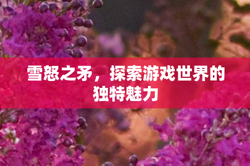 雪怒之矛，探索游戏世界的独特魅力