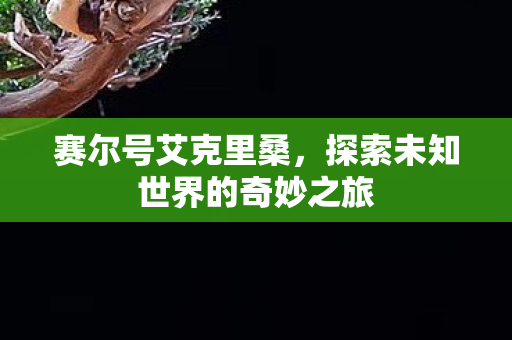 赛尔号艾克里桑,探索未知世界的奇妙之旅 赛尔号艾克里桑,探索未知世界的奇妙之旅