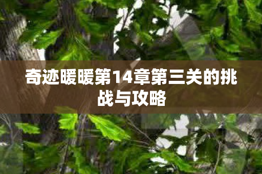 奇迹暖暖第14章第三关的挑战与攻略 奇迹暖暖第14章第三关的挑战与攻略