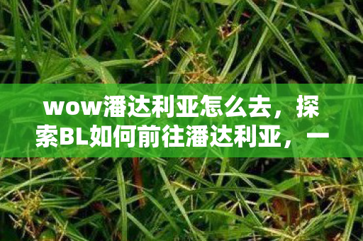 wow潘达利亚怎么去,探索BL如何前往潘达利亚,一场奇幻的冒险之旅 wow潘达利亚怎么去,探索BL如何前往潘达利亚,一场奇幻的冒险之旅