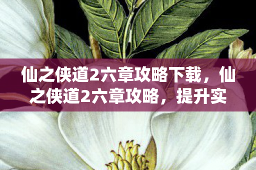 仙之侠道2六章攻略下载,仙之侠道2六章攻略,提升实力与探索秘境的全方位指南 仙之侠道2六章攻略下载,仙之侠道2六章攻略,提升实力与探索秘境的全方位指南