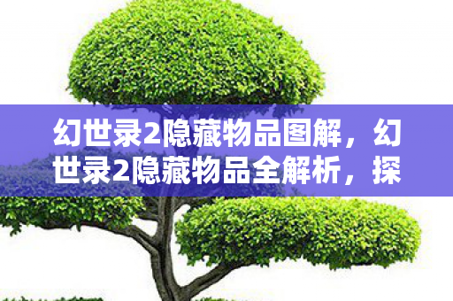 幻世录2隐藏物品图解，幻世录2隐藏物品全解析，探索未知的游戏宝藏