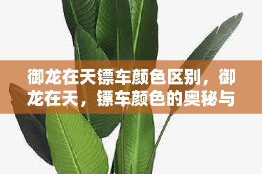 御龙在天镖车颜色区别，御龙在天，镖车颜色的奥秘与战略意义