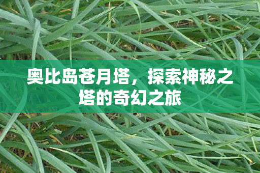 奥比岛苍月塔，探索神秘之塔的奇幻之旅