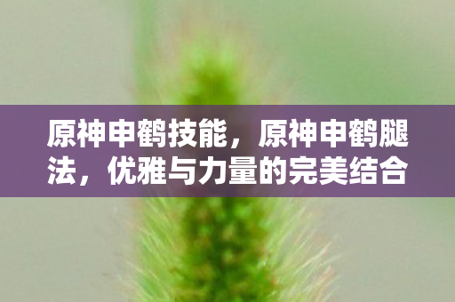 原神申鹤技能,原神申鹤腿法,优雅与力量的完美结合 原神申鹤技能,原神申鹤腿法,优雅与力量的完美结合