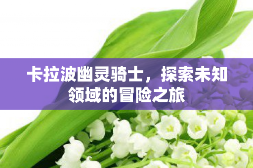 卡拉波幽灵骑士,探索未知领域的冒险之旅 卡拉波幽灵骑士,探索未知领域的冒险之旅