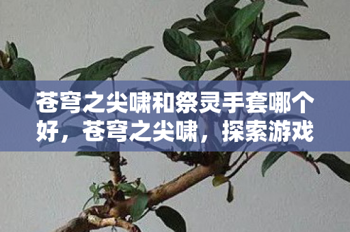 苍穹之尖啸和祭灵手套哪个好，苍穹之尖啸，探索游戏世界的无限可能