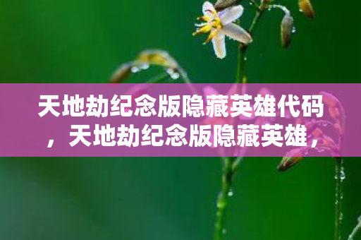 天地劫纪念版隐藏英雄代码,天地劫纪念版隐藏英雄,揭秘那些不为人知的传奇角色 天地劫纪念版隐藏英雄代码,天地劫纪念版隐藏英雄,揭秘那些不为人知的传奇角色