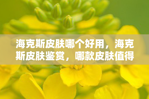 海克斯皮肤哪个好用,海克斯皮肤鉴赏,哪款皮肤值得入手? 海克斯皮肤哪个好用,海克斯皮肤鉴赏,哪款皮肤值得入手?