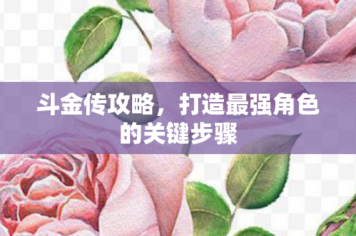 斗金传攻略，打造最强角色的关键步骤