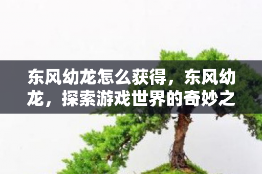 东风幼龙怎么获得，东风幼龙，探索游戏世界的奇妙之旅