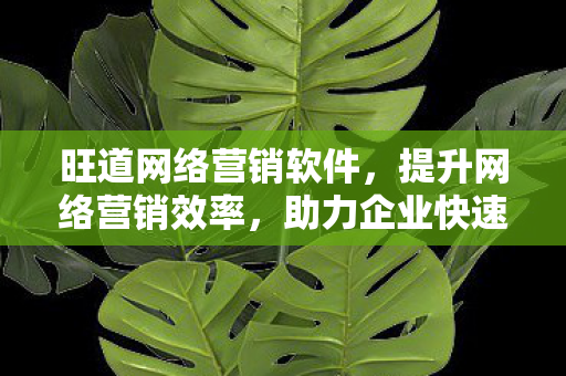 旺道网络营销软件,提升网络营销效率,助力企业快速发展 旺道网络营销软件,提升网络营销效率,助力企业快速发展