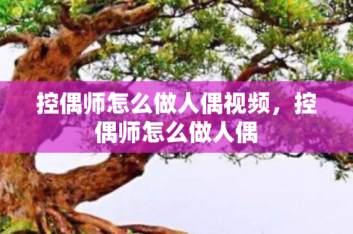 控偶师怎么做人偶视频,控偶师怎么做人偶 控偶师怎么做人偶视频,控偶师怎么做人偶