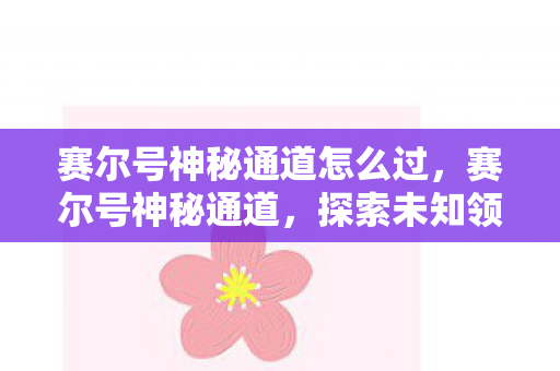 赛尔号神秘通道怎么过，赛尔号神秘通道，探索未知领域的奇妙之旅
