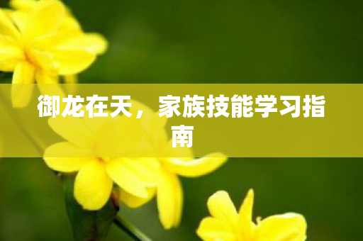 御龙在天,家族技能学习指南 御龙在天,家族技能学习指南