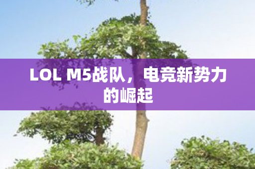 LOL M5战队,电竞新势力的崛起 LOL M5战队,电竞新势力的崛起