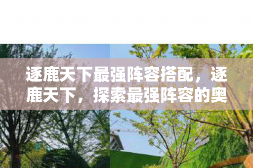 逐鹿天下最强阵容搭配,逐鹿天下,探索最强阵容的奥秘 逐鹿天下最强阵容搭配,逐鹿天下,探索最强阵容的奥秘