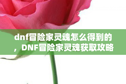 dnf冒险家灵魂怎么得到的,DNF冒险家灵魂获取攻略 dnf冒险家灵魂怎么得到的,DNF冒险家灵魂获取攻略