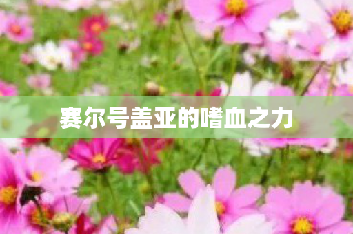 赛尔号盖亚的嗜血之力 赛尔号盖亚的嗜血之力