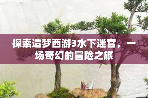 探索造梦西游3水下迷宫,一场奇幻的冒险之旅 探索造梦西游3水下迷宫,一场奇幻的冒险之旅