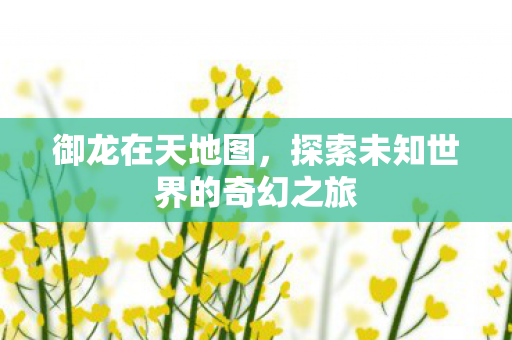 御龙在天地图，探索未知世界的奇幻之旅