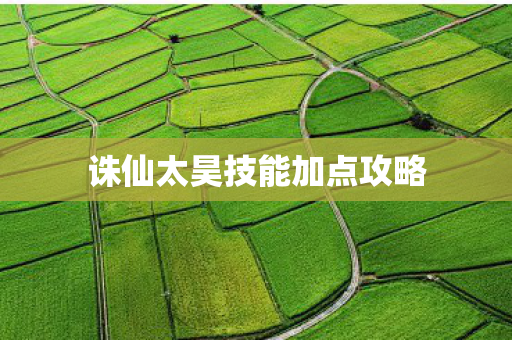 诛仙太昊技能加点攻略 诛仙太昊技能加点攻略