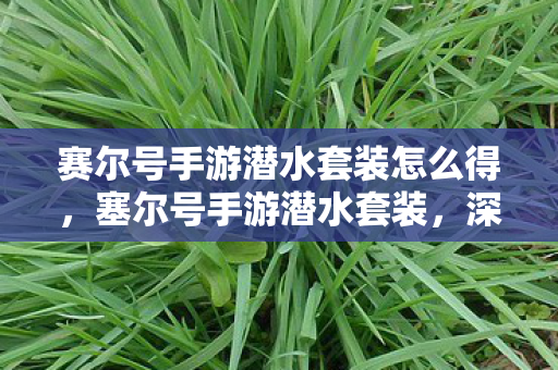 赛尔号手游潜水套装怎么得,塞尔号手游潜水套装,深海探险的必备神器 赛尔号手游潜水套装怎么得,塞尔号手游潜水套装,深海探险的必备神器