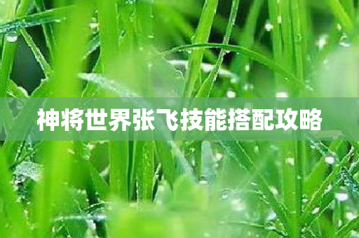神将世界张飞技能搭配攻略 神将世界张飞技能搭配攻略