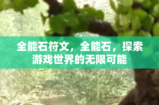 全能石符文，全能石，探索游戏世界的无限可能