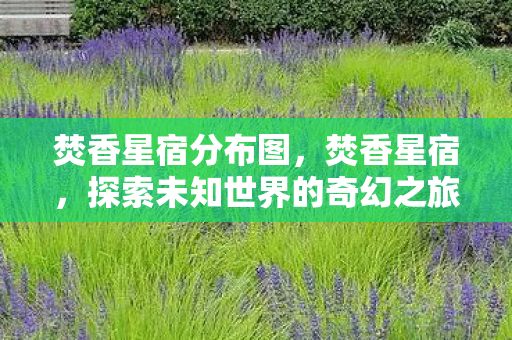 焚香星宿分布图,焚香星宿,探索未知世界的奇幻之旅 焚香星宿分布图,焚香星宿,探索未知世界的奇幻之旅